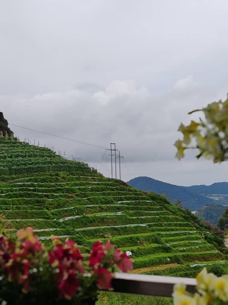 Kensington Sunrise Sg, Palas Horizon,Kea Farm Brinchang Ngoại thất bức ảnh